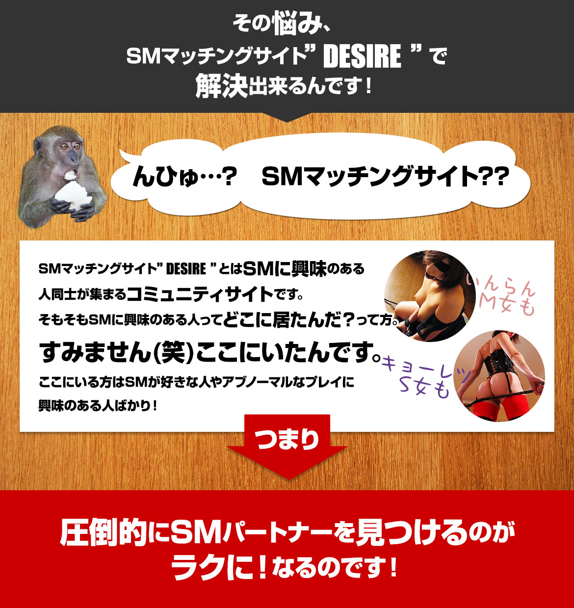 ̔Y݁ASM}b`OTCgDESIREŉoł!