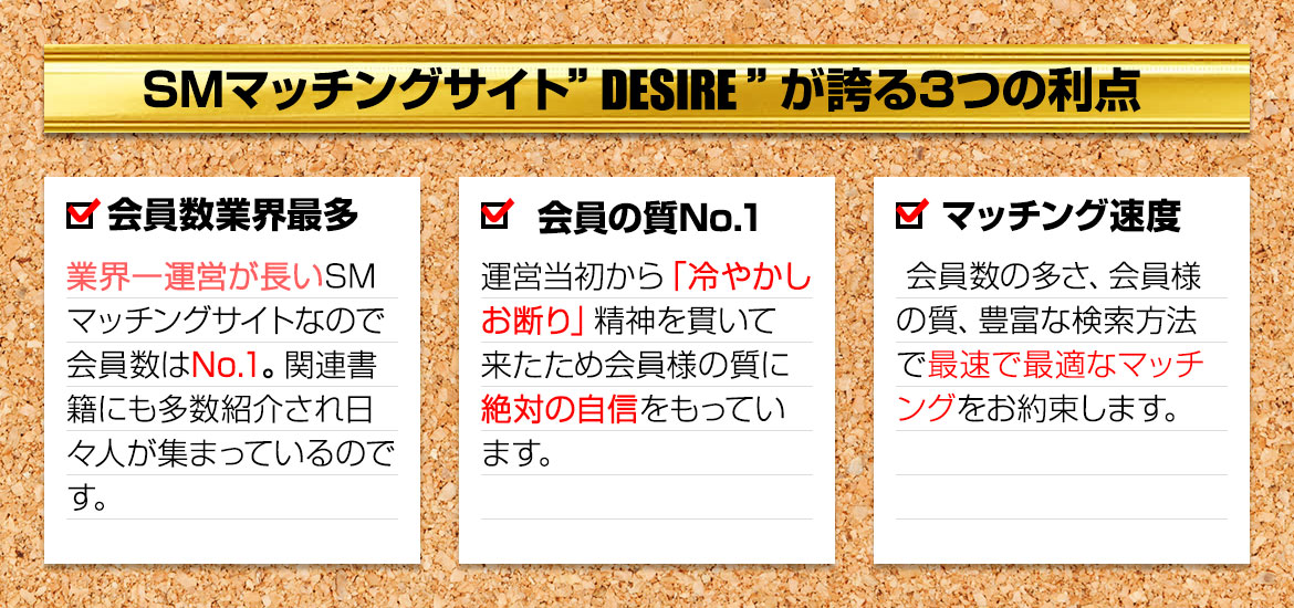 SM}b`OTCgDESIREւ3̗_