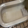排泄物